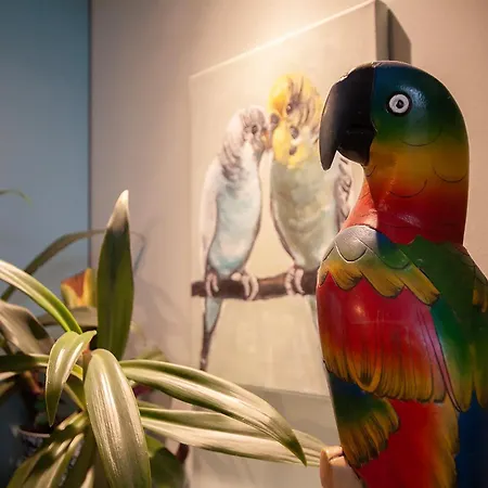 U Olechny 5 アパート ビィドゴシュチュ