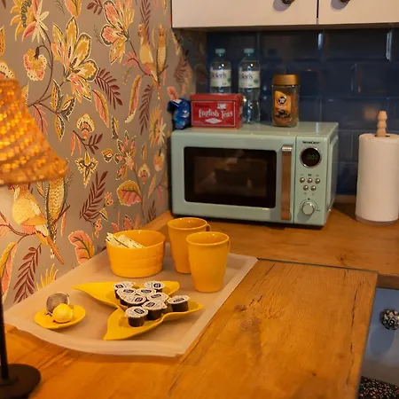 U Olechny 5 アパート ビィドゴシュチュ