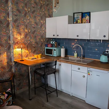 U Olechny 5 アパート *