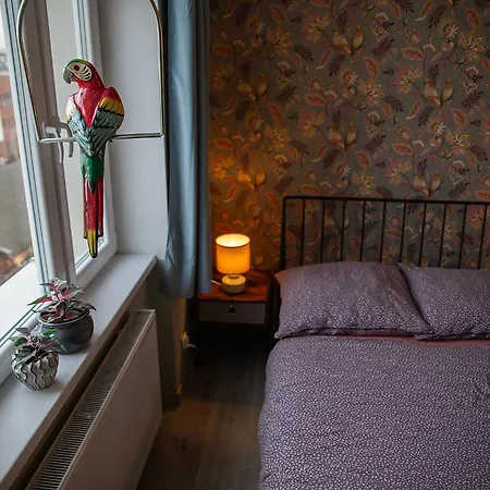 アパート U Olechny 5 *