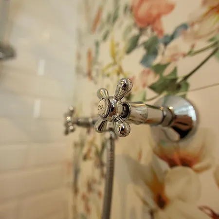 アパート U Olechny 5 ビィドゴシュチュ