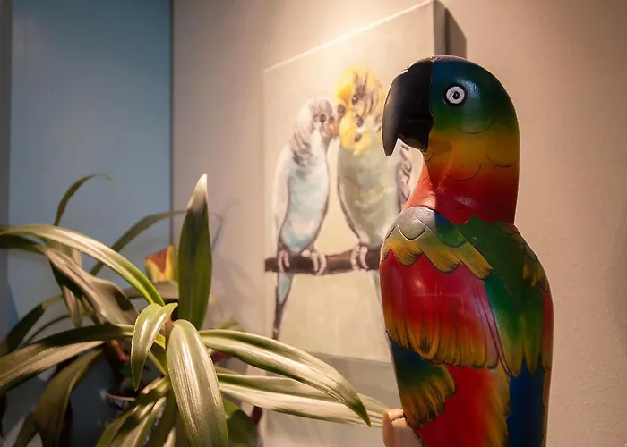 U Olechny 5 公寓 比得哥什