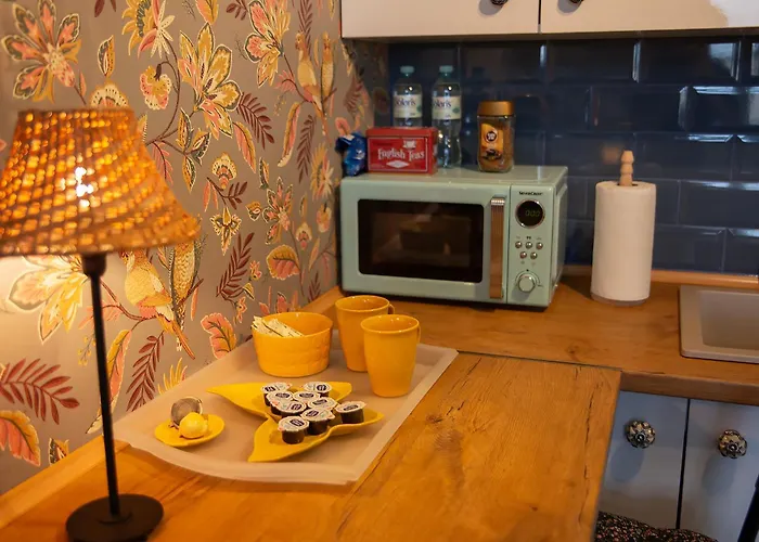 U Olechny 5 公寓 比得哥什