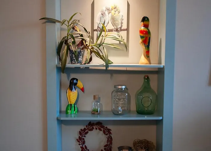 U Olechny 5 Apartment