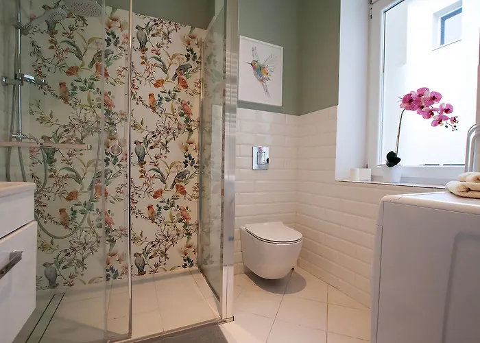 Apartment U Olechny 5 *